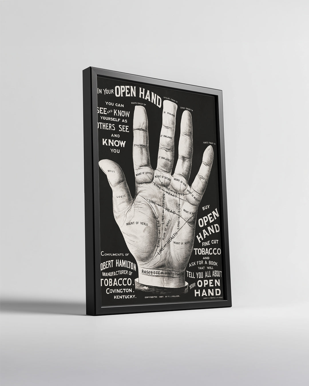 Palm Hand Poster Tablosu