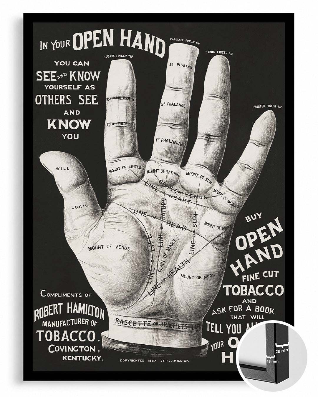 Palm Hand Poster Tablosu