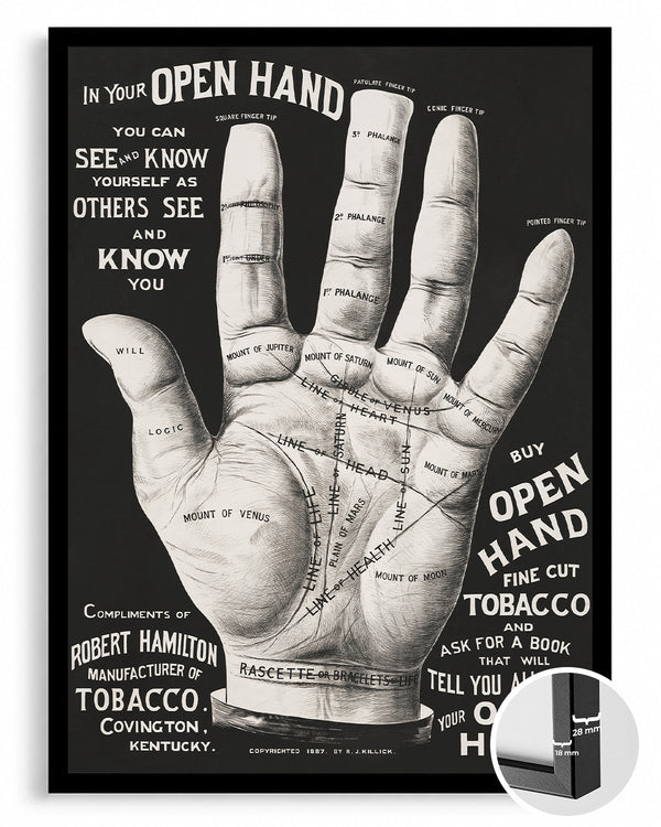Palm Hand Poster Tablosu