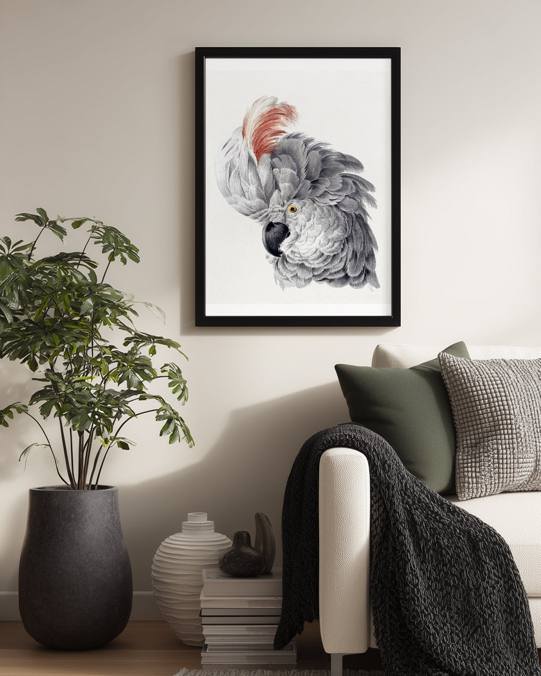 Papağan - Gri Tüy Yapısı Poster Tablosu