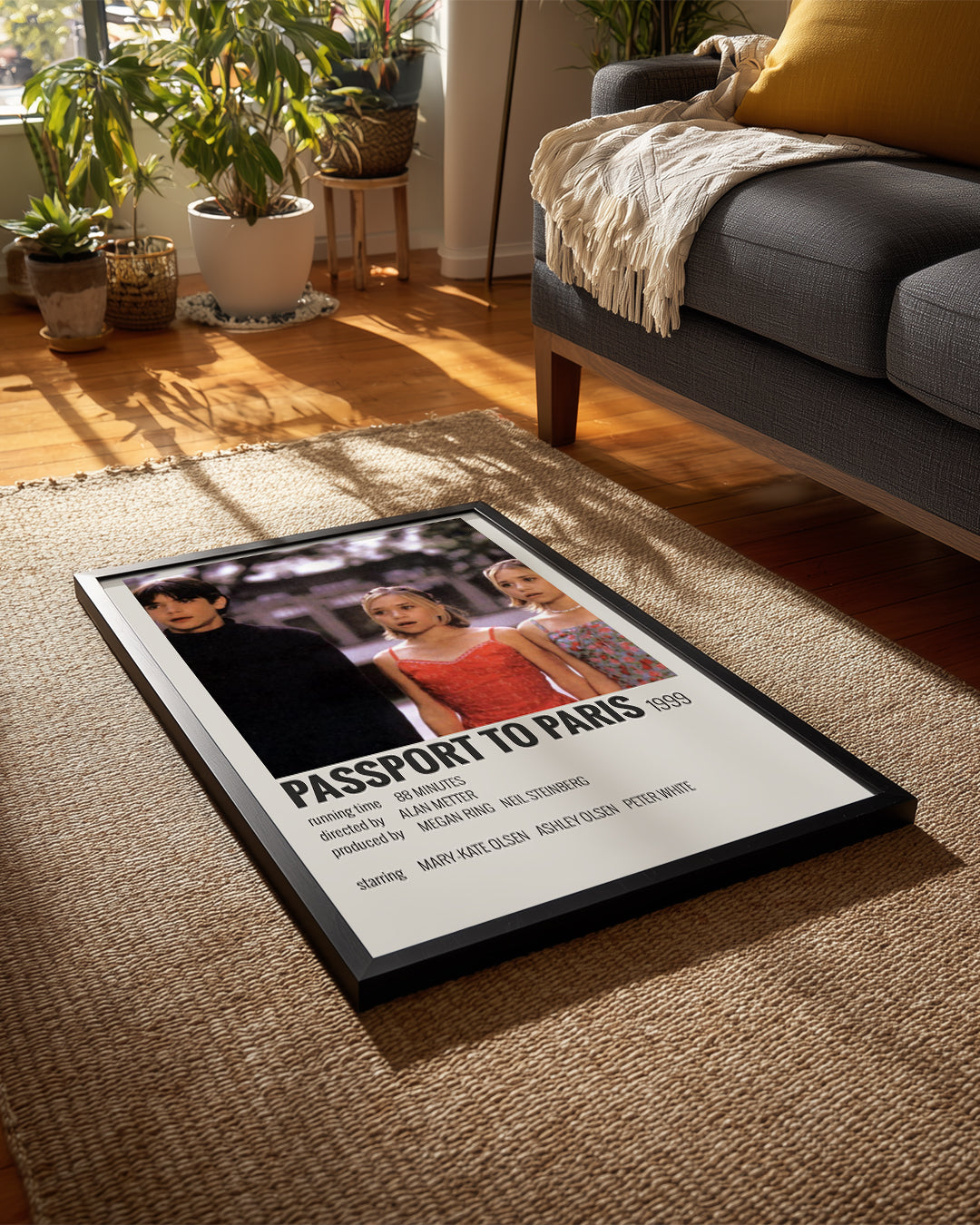 Passport To Paris Poster Tablosu