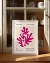 Pembe Yapraklar - Henri Matisse - 1955 Poster Tablosu