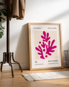 Pembe Yapraklar - Henri Matisse - 1955 Poster Tablosu