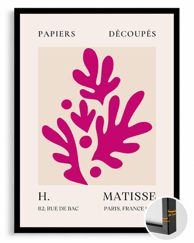 Pembe Yapraklar - Henri Matisse - 1955 Poster Tablosu