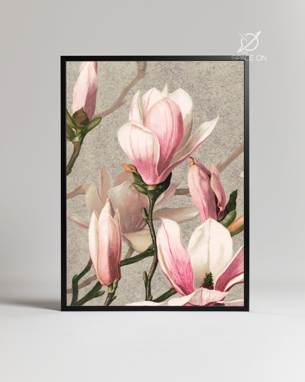 Pink Magnolia Poster Tablosu