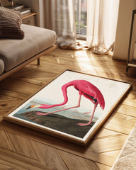 Pink Neck Poster Tablosu