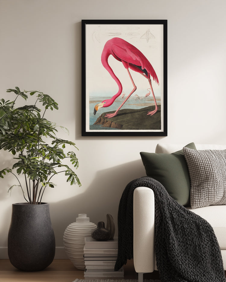 Pink Neck Poster Tablosu