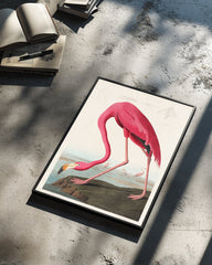 Pink Neck Poster Tablosu