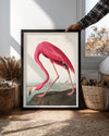 Pink Neck Poster Tablosu