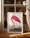 Pink Neck Poster Tablosu