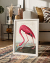 Pink Neck Poster Tablosu