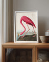 Pink Neck Poster Tablosu