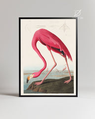 Pink Neck Poster Tablosu