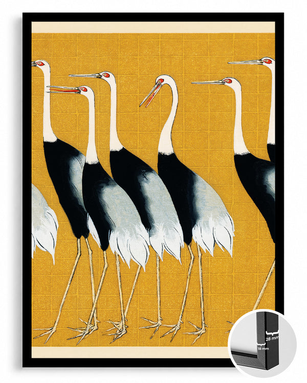 Red-crowned Poster Tablosu