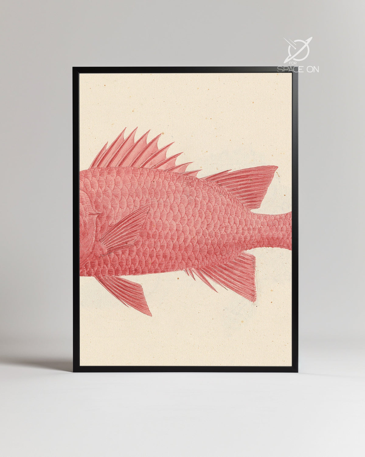 Red Fish Poster Tablosu