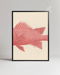 Red Fish Poster Tablosu
