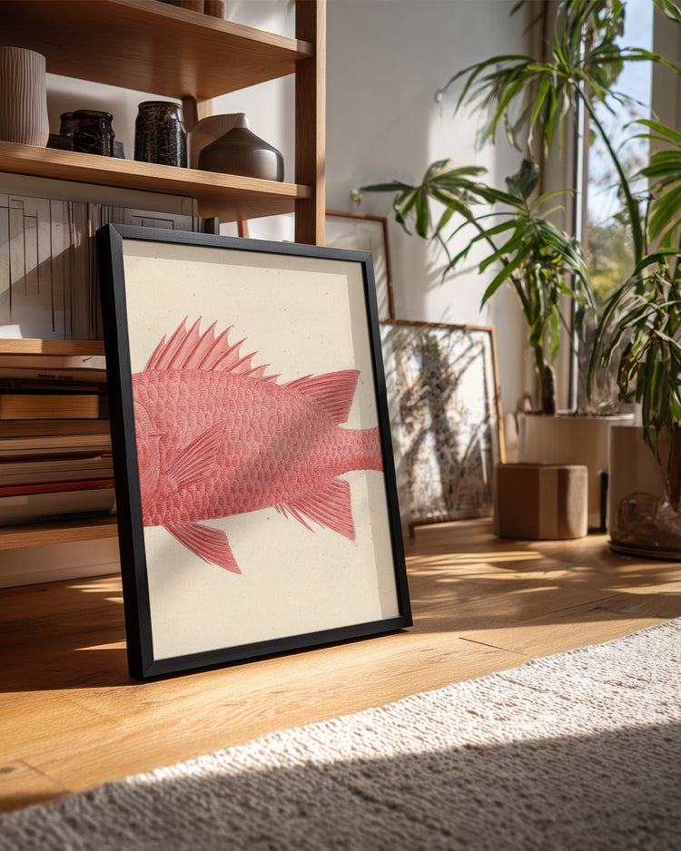 Red Fish Poster Tablosu