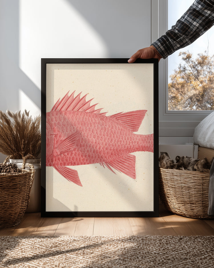 Red Fish Poster Tablosu