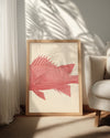 Red Fish Poster Tablosu
