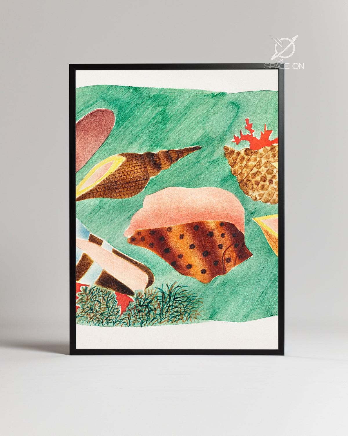 Sea Shells Poster Tablosu