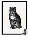 Siyah Kedi - Vintage Çizim Poster Tablosu