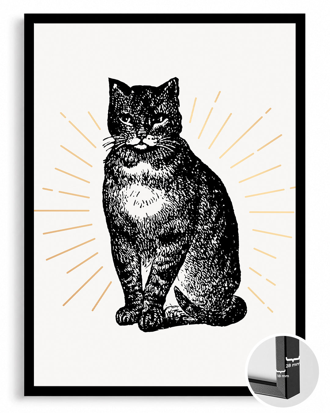 Siyah Kedi - Vintage Çizim Poster Tablosu