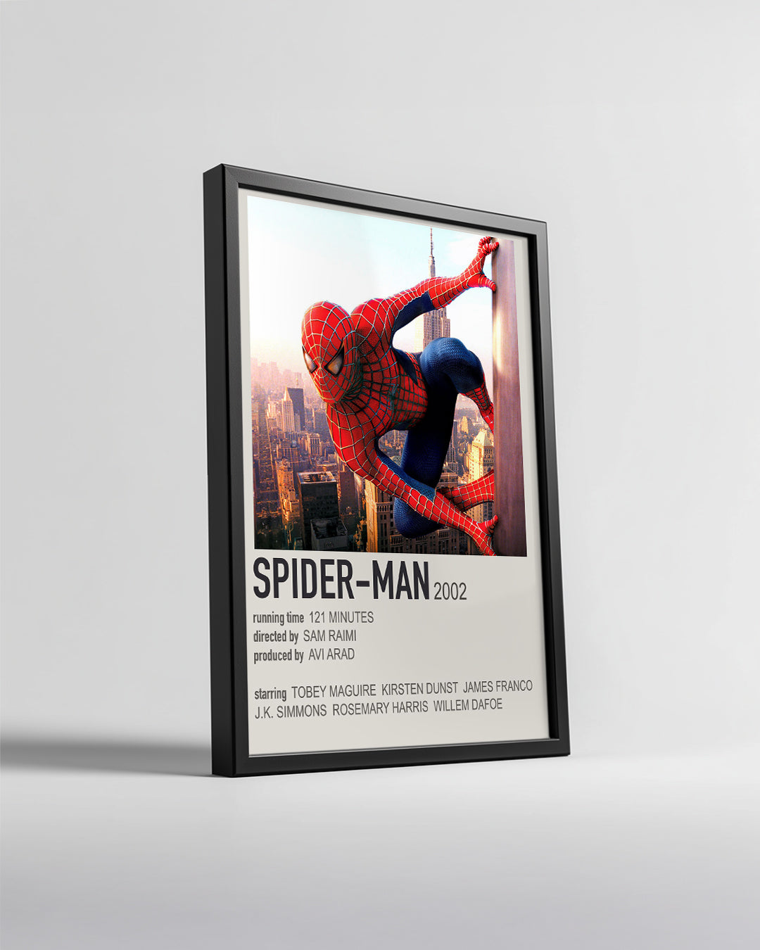 SpiderMan Poster Tablosu