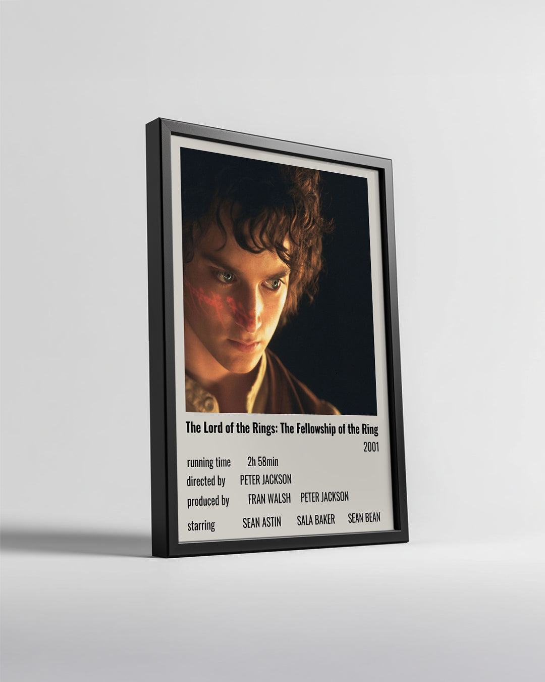 The Lord of the Rings The Fellowship of the Ring Poster Tablosu