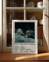 The Lord of the Rings The Return of the King Poster Tablosu