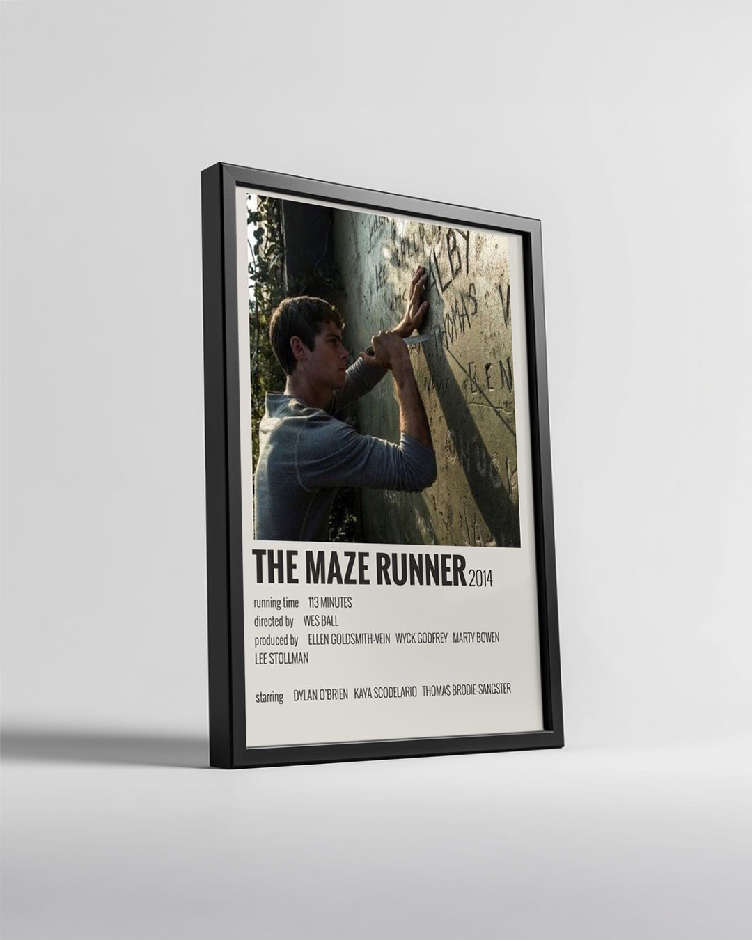 The Maze Runner Poster Tablosu