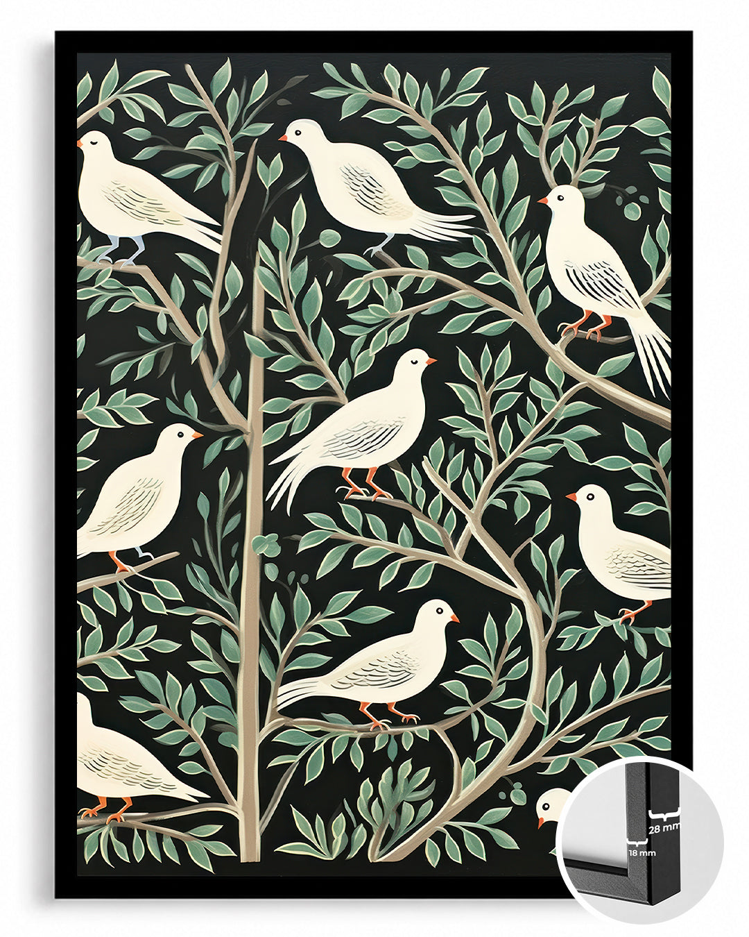 White Dove Poster Tablosu