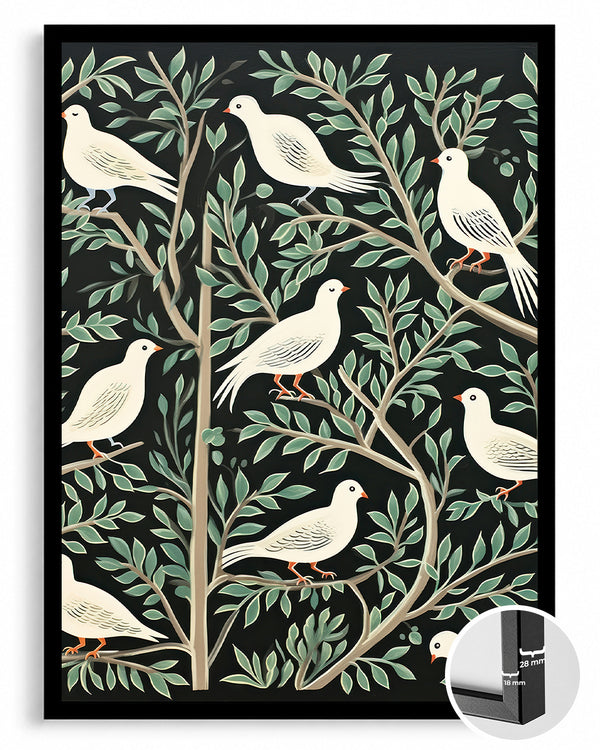 White Dove Poster Tablosu