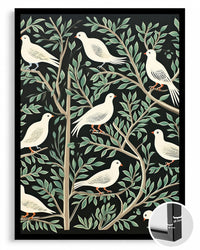 White Dove Poster Tablosu