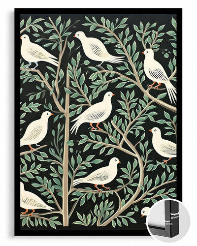 White Dove Poster Tablosu