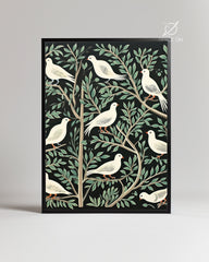 White Dove Poster Tablosu