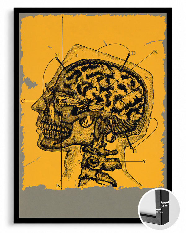 Yellow Brain Poster Tablosu
