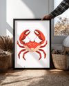 Yengeç - Kırmızı Shell Deseni Poster Tablosu