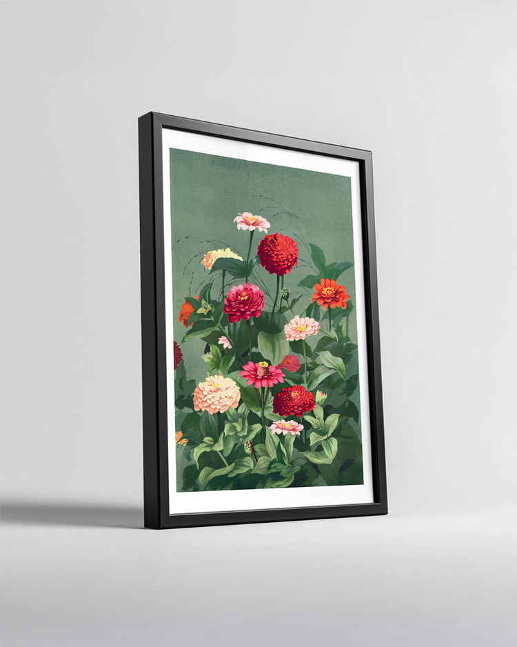 Zinnia Garden Poster Tablosu