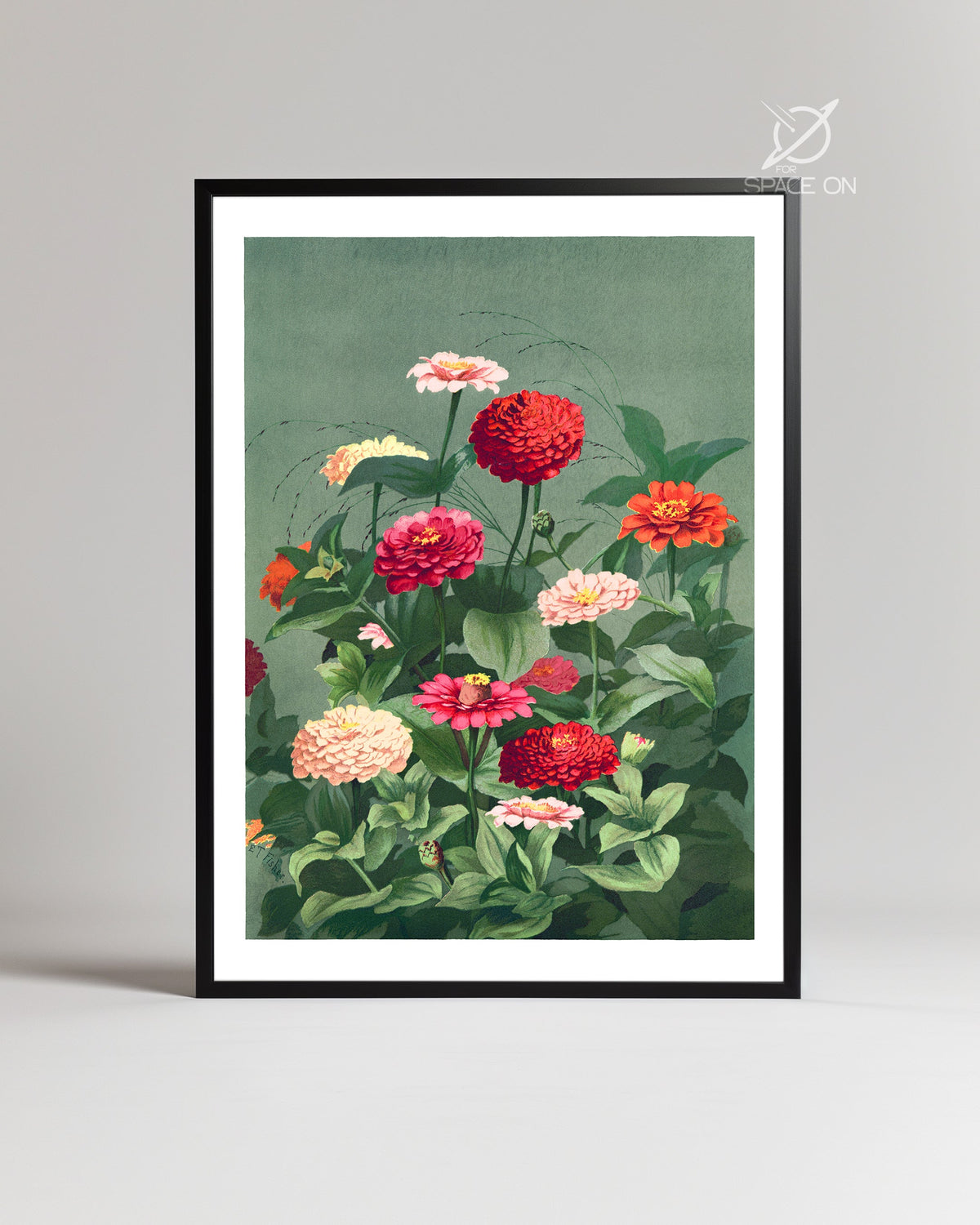 Zinnia Garden Poster Tablosu