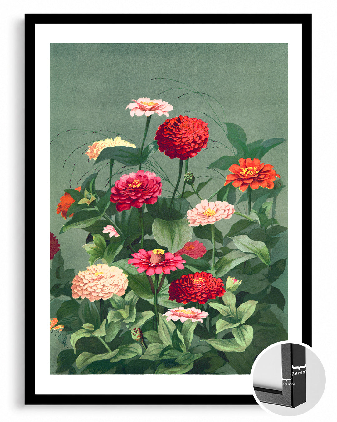 Zinnia Garden Poster Tablosu