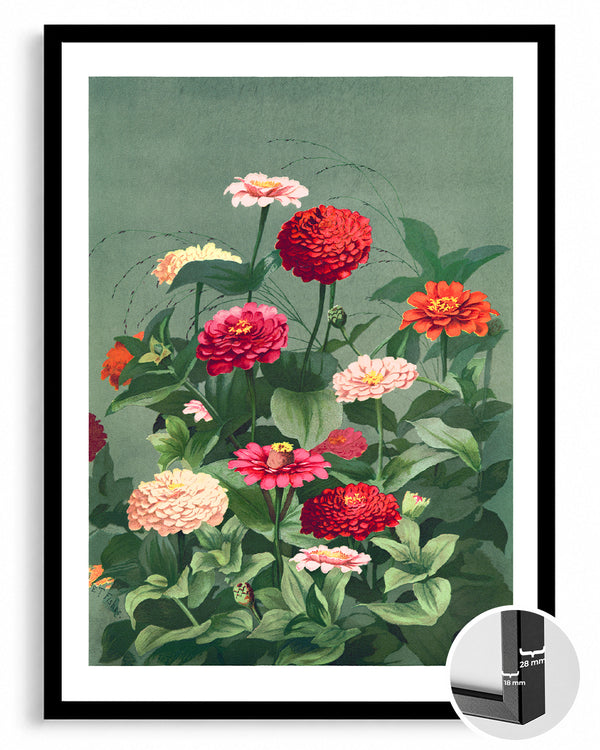 Zinnia Garden Poster Tablosu